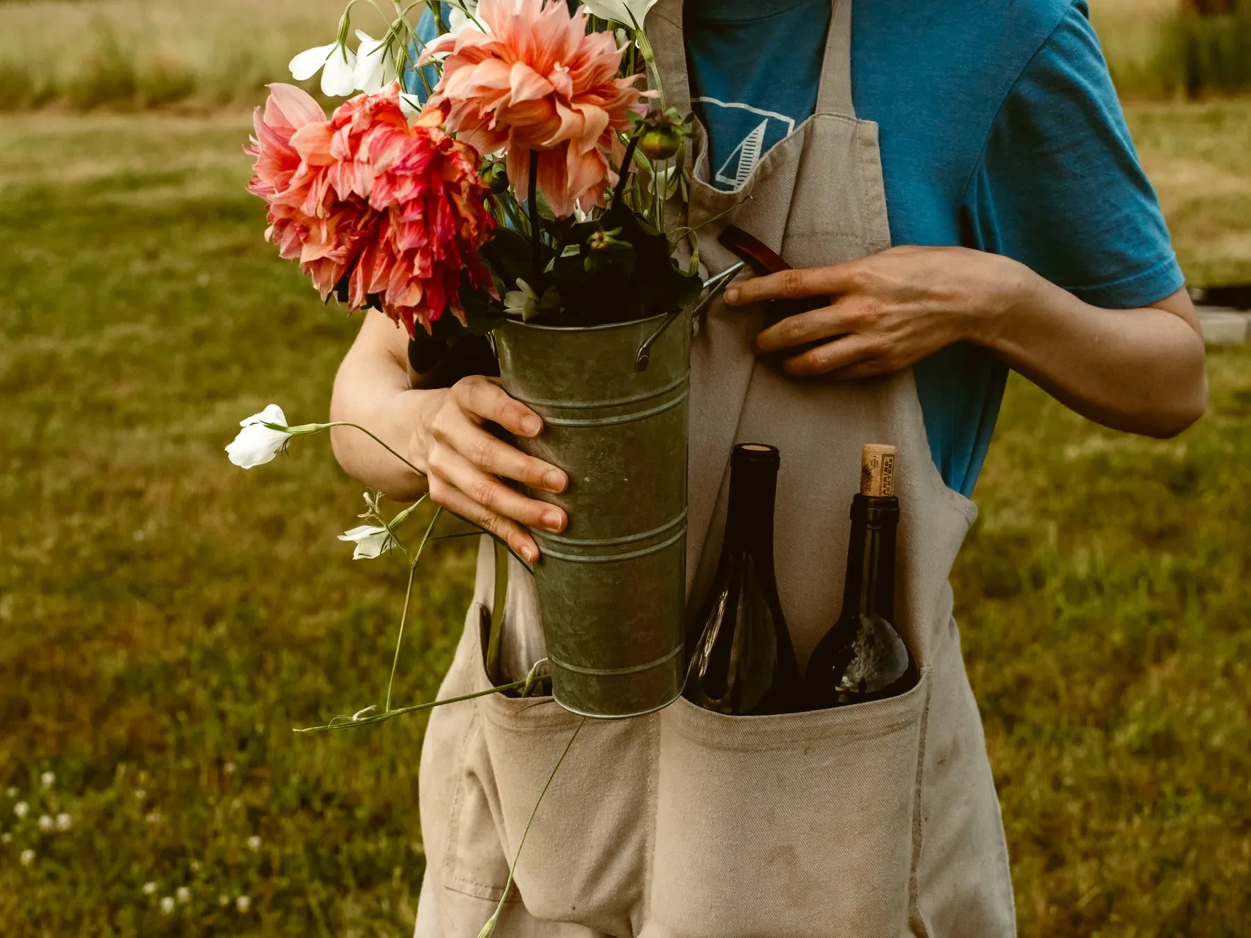 An armful of pink dahlias and two bottles carried in an apron